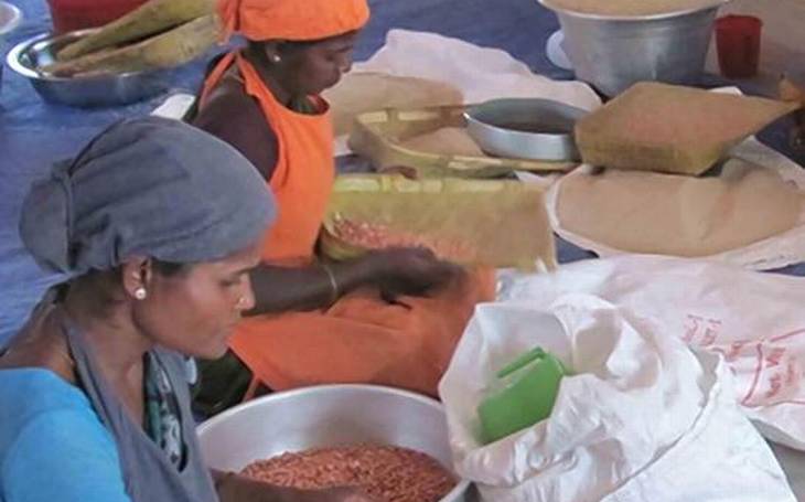 Women in Sittilingi clean millets and groundnut.
